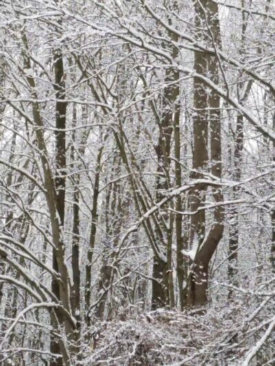 Boston Run Trailhead - Hudson, OH