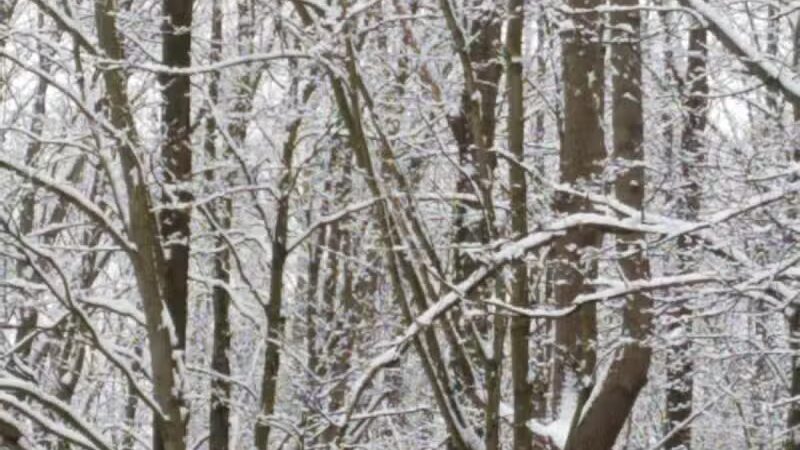 Boston Run Trailhead - Hudson, OH