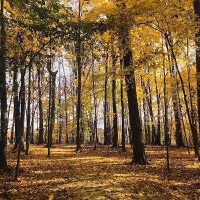 Cascade Park - Hudson, OH