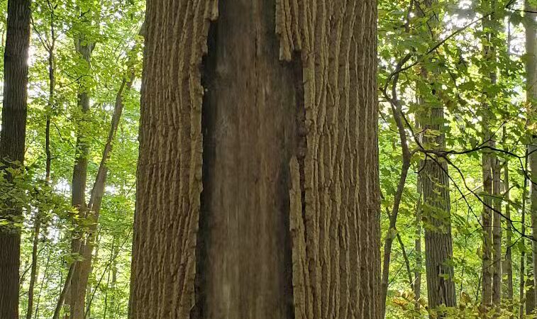 Cascade Park - Hudson, OH