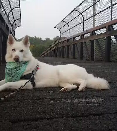 Colony Park - Hudson, OH