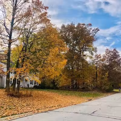 Colony Park - Hudson, OH