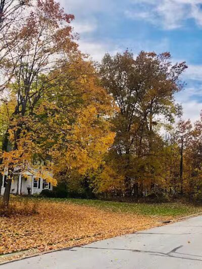 Colony Park - Hudson, OH