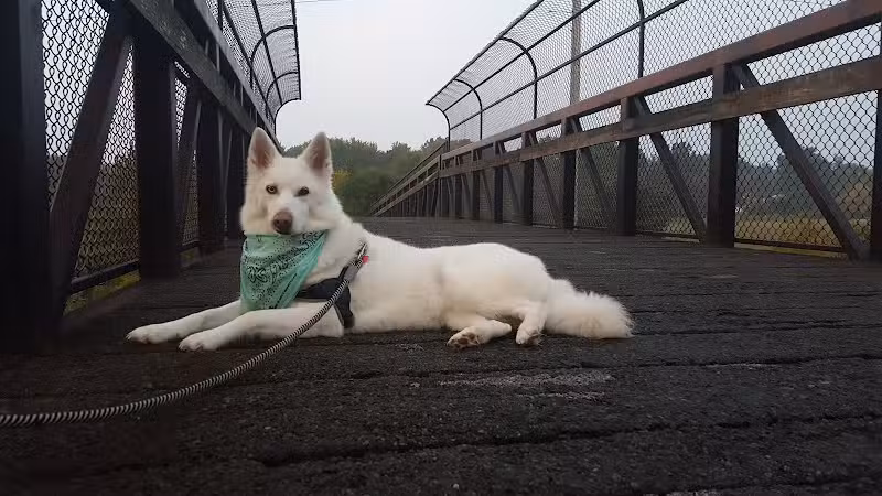 Colony Park - Hudson, OH