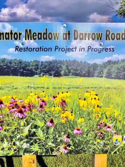 Darrow Road Park - Hudson, OH