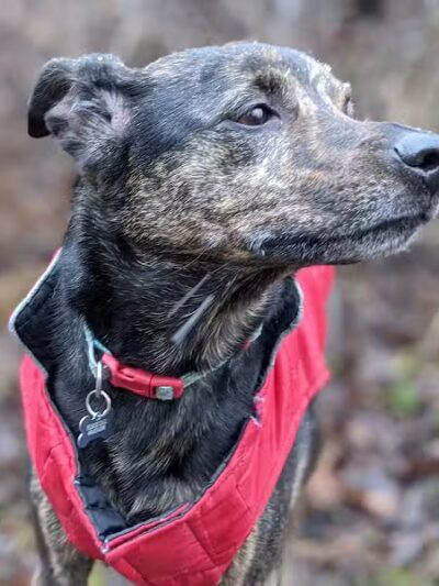 Darrow Road Park - Hudson, OH