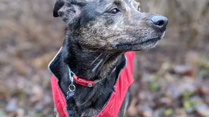 Darrow Road Park - Hudson, OH