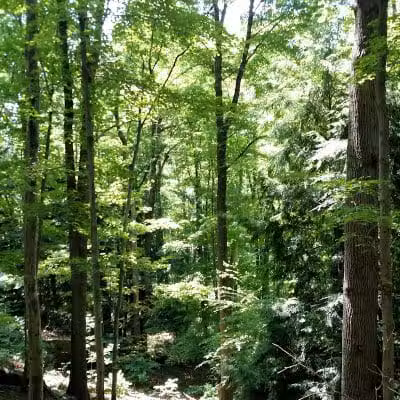 Darrow Road Park - Hudson, OH