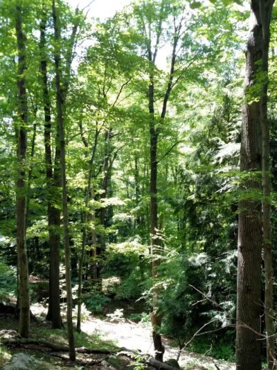 Darrow Road Park - Hudson, OH