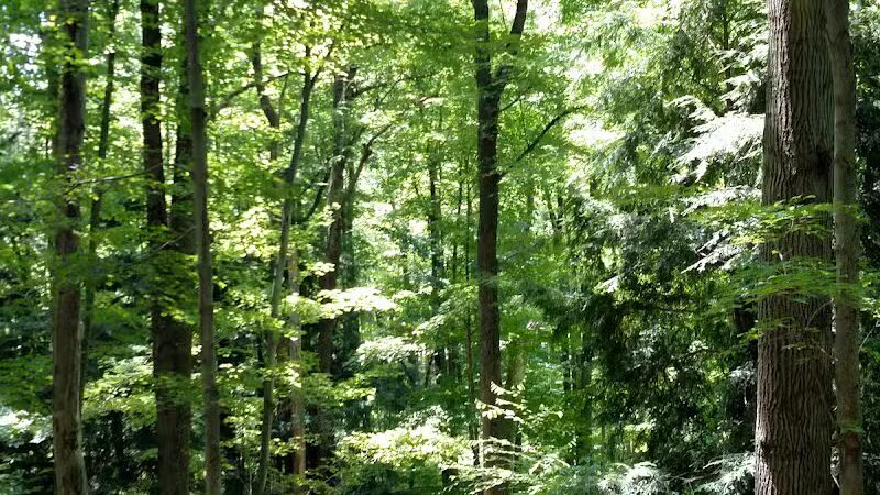 Darrow Road Park - Hudson, OH