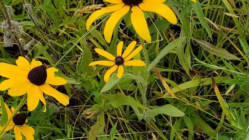 Darrow Road Park - Hudson, OH