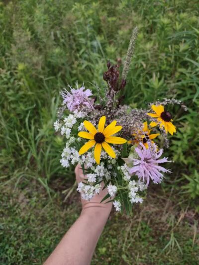 Darrow Road Park - Hudson, OH