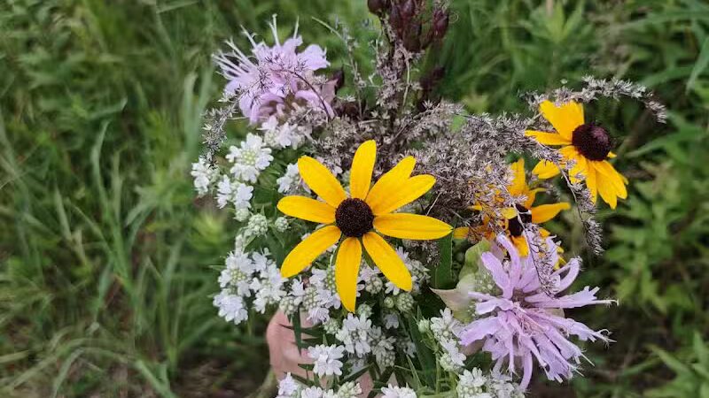 Darrow Road Park - Hudson, OH