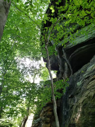 Darrow Road Park - Hudson, OH