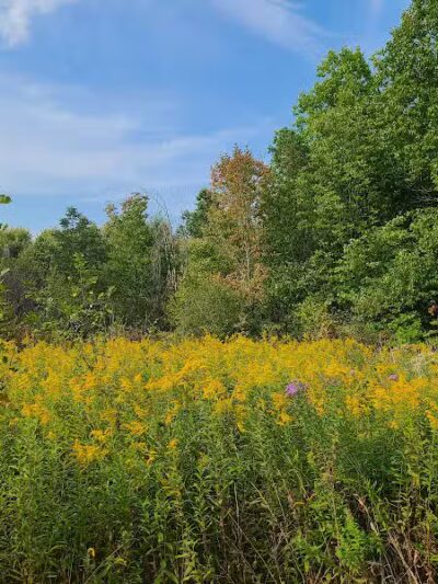 Downy Loop Trail - Hudson, OH