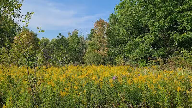 Downy Loop Trail - Hudson, OH