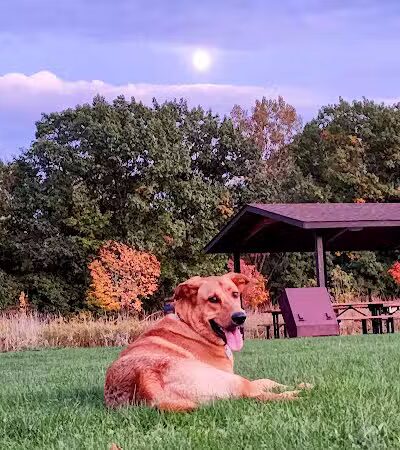 Downy Loop Trail - Hudson, OH