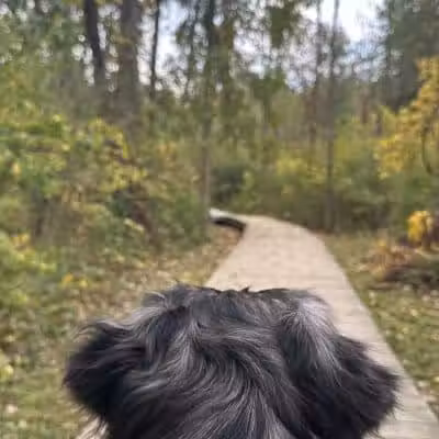 Downy Loop Trail - Hudson, OH
