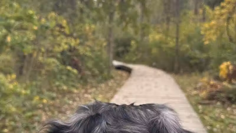 Downy Loop Trail - Hudson, OH