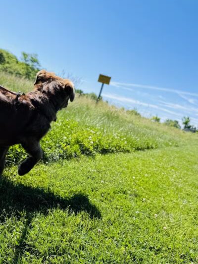 Downy Loop Trail - Hudson, OH