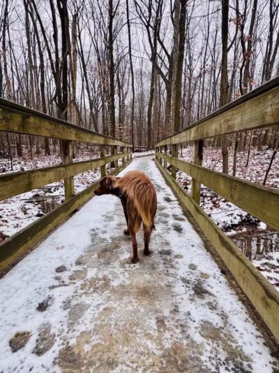 Downy Loop Trail - Hudson, OH