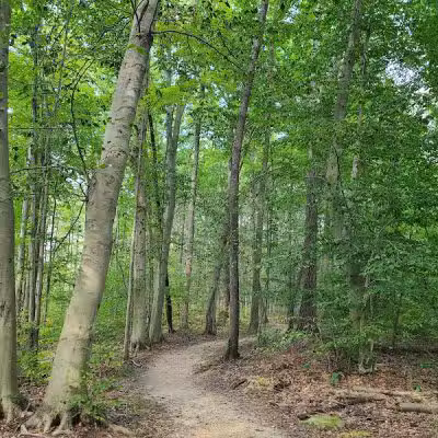 Downy Loop Trail - Hudson, OH