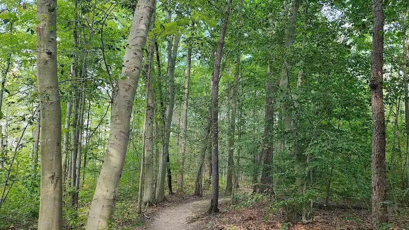Downy Loop Trail - Hudson, OH