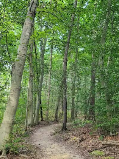 Downy Loop Trail - Hudson, OH