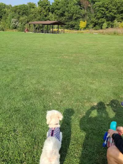 Downy Loop Trail - Hudson, OH