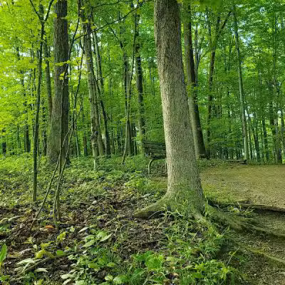 Hudson Springs Park - Hudson, OH