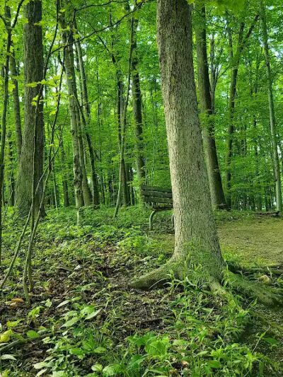 Hudson Springs Park - Hudson, OH