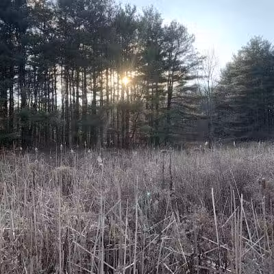 Maple Grove Park - Hudson, OH