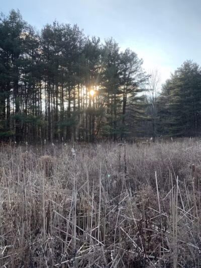 Maple Grove Park - Hudson, OH