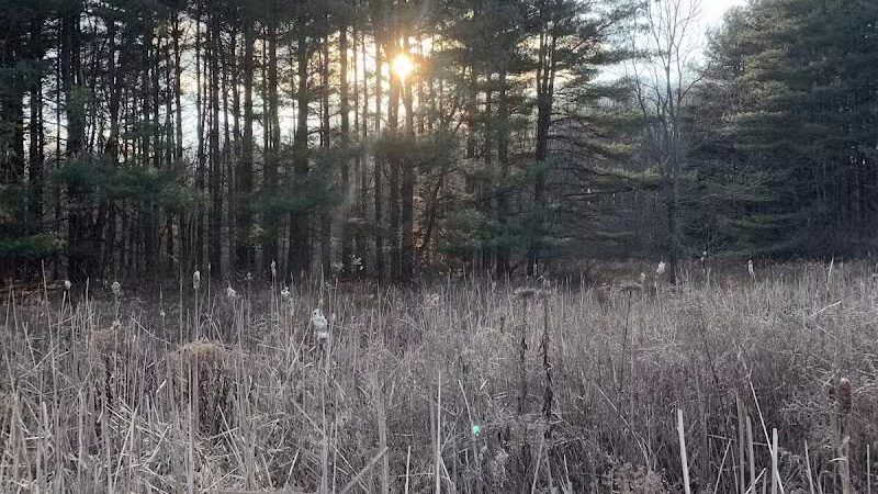 Maple Grove Park - Hudson, OH