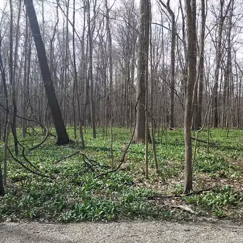 Maple Grove Park - Hudson, OH