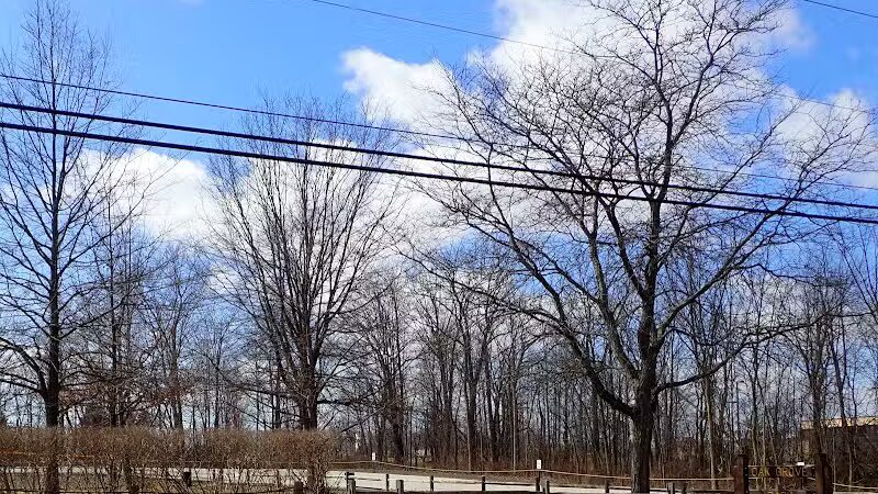 Oak Grove Park - Hudson, OH