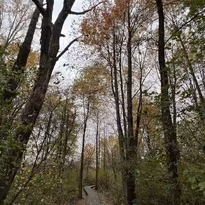 Oak Grove Park - Hudson, OH