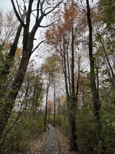 Oak Grove Park - Hudson, OH