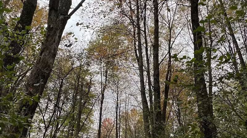 Oak Grove Park - Hudson, OH