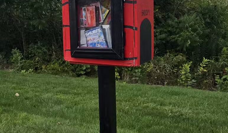Veterans Way Park Playground - Hudson, OH