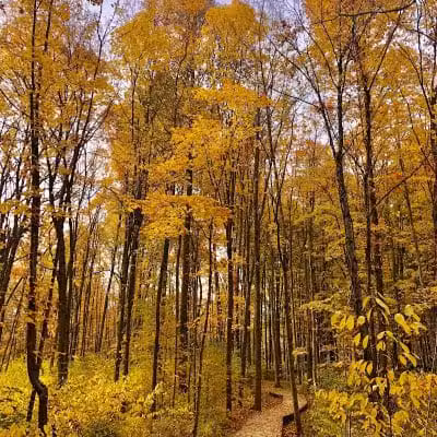 Wood Hollow Metro Park - Hudson, OH