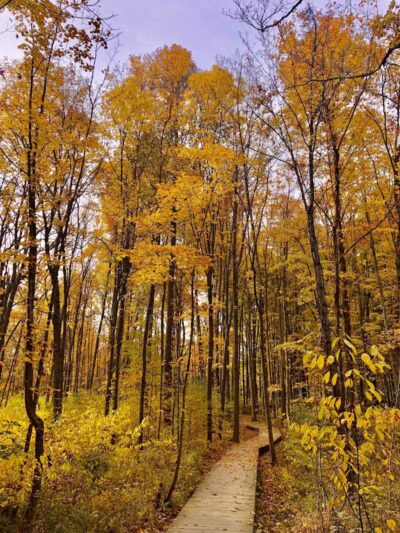 Wood Hollow Metro Park - Hudson, OH