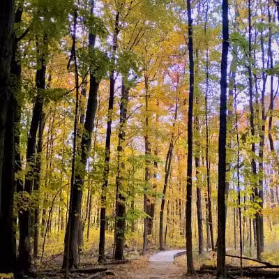 Wood Hollow Metro Park - Hudson, OH