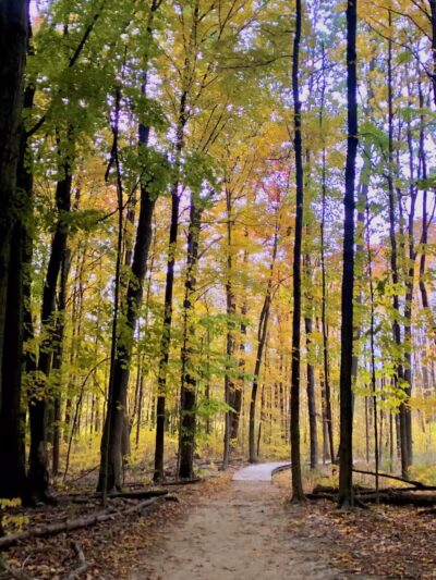 Wood Hollow Metro Park - Hudson, OH