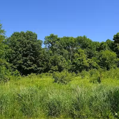 Wood Hollow Metro Park - Hudson, OH