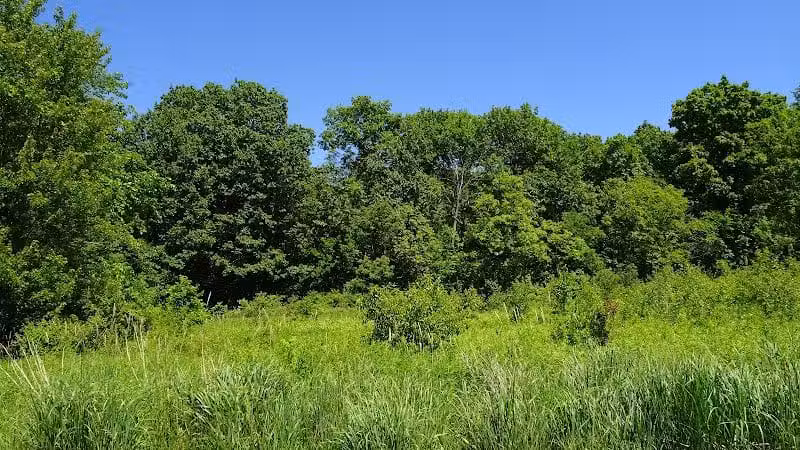 Wood Hollow Metro Park - Hudson, OH