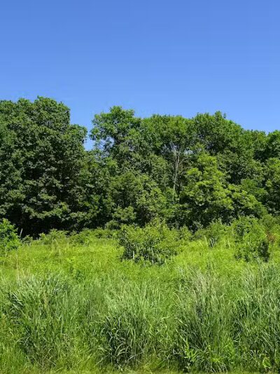 Wood Hollow Metro Park - Hudson, OH