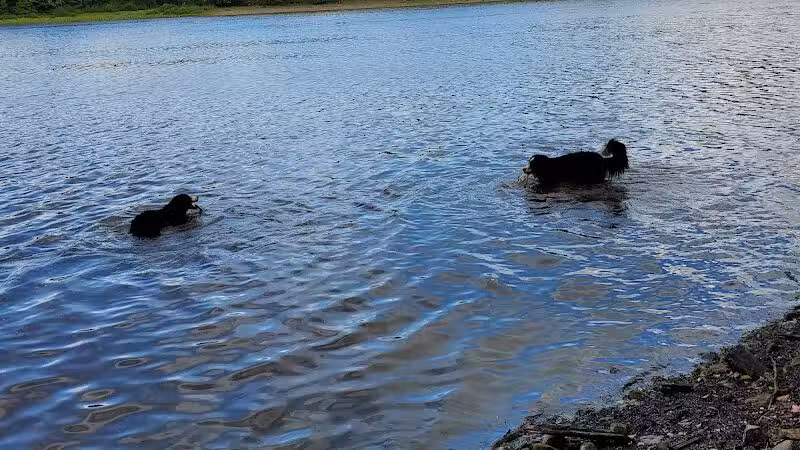 Headwaters Park - Huntsburg, OH