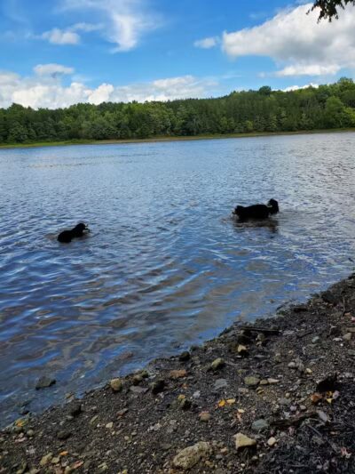 Headwaters Park - Huntsburg, OH