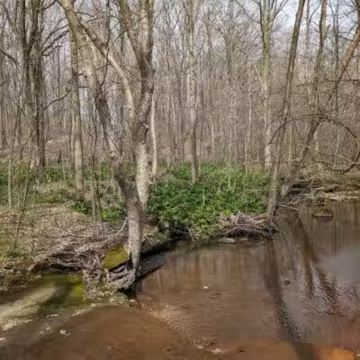 Headwaters Park - Huntsburg, OH